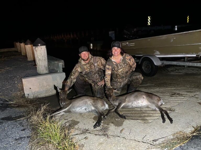 Eastern Shore Sika Deer Hunt